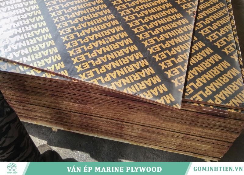 Ván gỗ ép Plywood marine