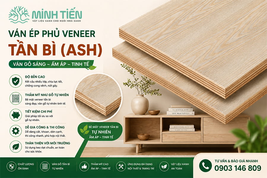 Ván ép phủ veneer gỗ tần bì (Ash)
